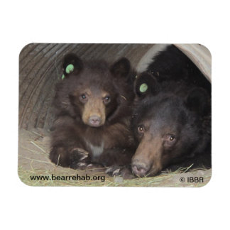 Mama & cub 2013 Premium Flexi Magnet