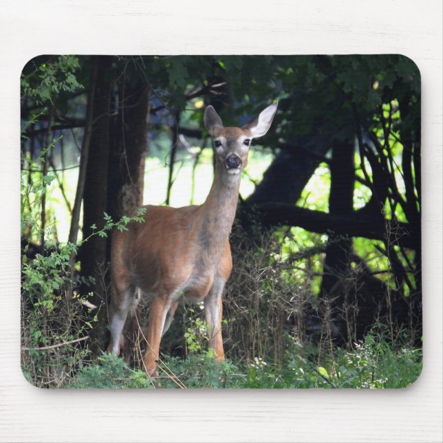 Mama Deer im Wald Mousepad (Vorne)