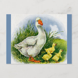 Mama-Ente und -Enten der 30er Jahre Postkarte