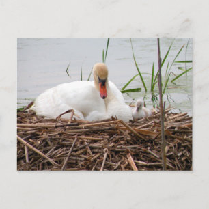 Mama et moi (2) Carte postale