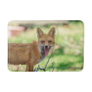 Mama Fox im Hudson Valley Badematte