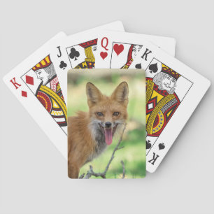 Mama Fox im Hudson Valley Spielkarten
