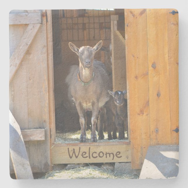 Mama Goat & Baby Steinuntersetzer (Vorderseite)