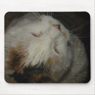 Mama, ich schlafe!! Katzenmauspad Mousepad