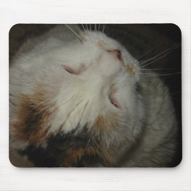 Mama, ich schlafe! Katzenmousepad! Mousepad (Vorne)