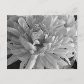 Mama ist die Word-Postkarte Postkarte