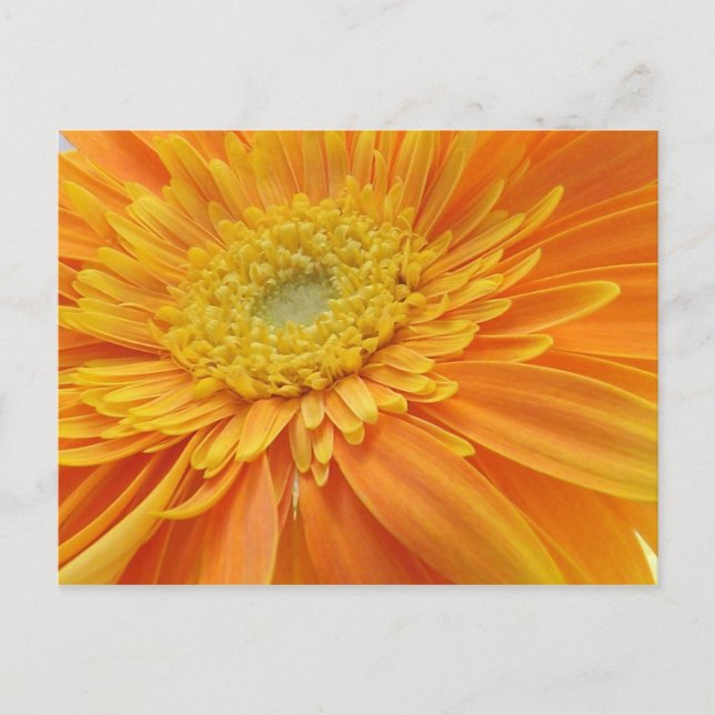 Mama ist die Word-Postkarte Postkarte (Vorderseite)