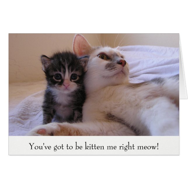 Mama & Kitten (Devant Horizontal)