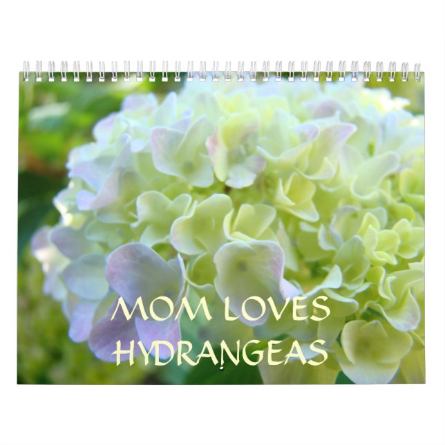MAMA LIEBEN HYDRANGEAS Kalender Neujahr (Titelbild)