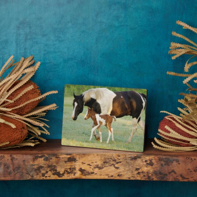 Mama & Paint Filly Fotoplatte (Seite)