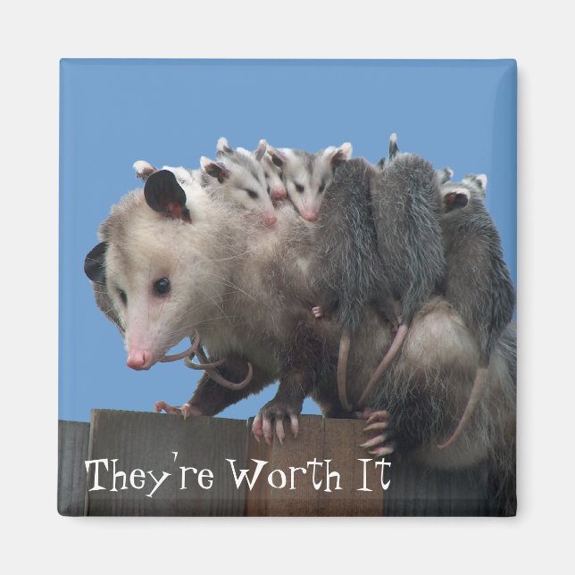 Mama Possum Babies Pro-Life humorvoll Magnet (Vorne)