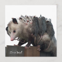 Mama Possum Faire-part photo de naissance humorist
