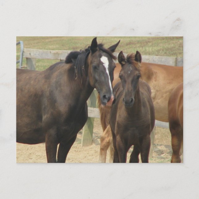 Mama Postkarte (Vorderseite)