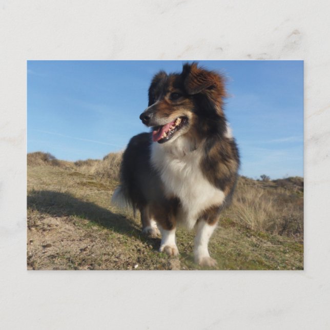 Mama Postkarte (Vorderseite)