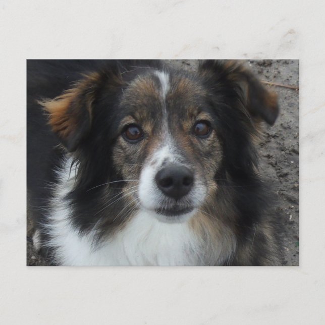 Mama Postkarte (Vorderseite)