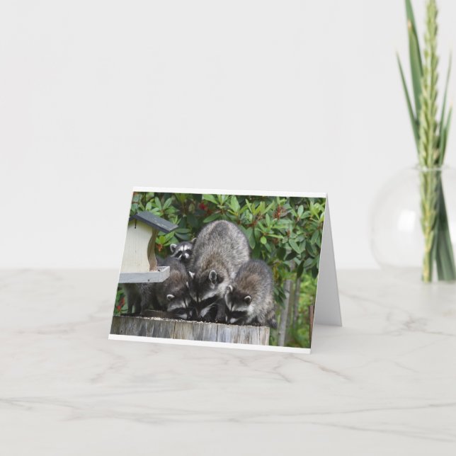 Mama Raccoon und ihre Babys Karte (Vorderseite)