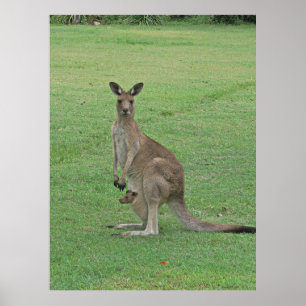 Mama Roo und Joey Poster