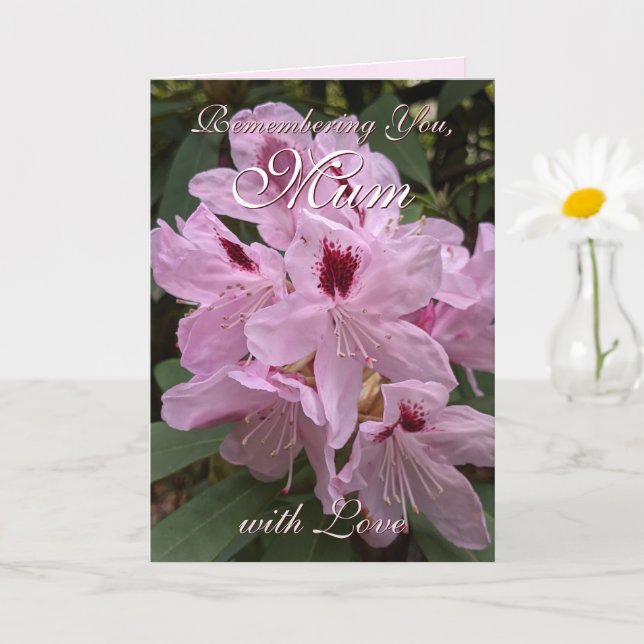 Mama Rosa Rhododendron Muttertag Karte (Kleine Pflanze)
