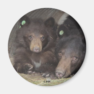 Mama-u. Junges 2013 runder Magnet