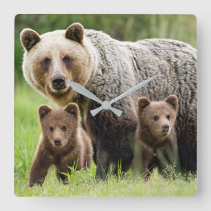 Mama und Babies Grizzles Bears Square Wall Clock Quadratische Wanduhr