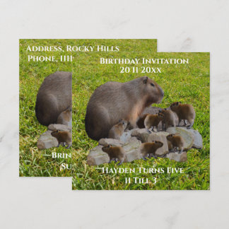 Mama und Baby Capybaras, Einladung zum Geburtstag