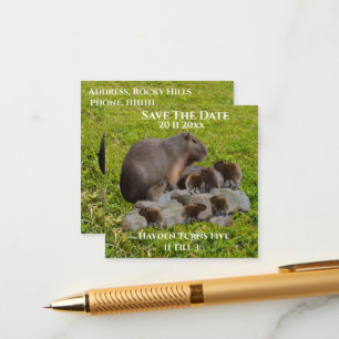 Mama und Baby Capybaras Save the Date Begleitkarte