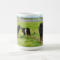 Mama- und Baby-Galloway-Kuh, Kaffee-Tasse