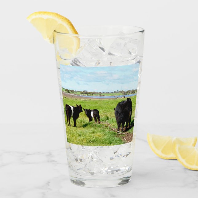 Mama- und Baby-Galloway-Kuh, trinken Glas (Vorderseite Ice)