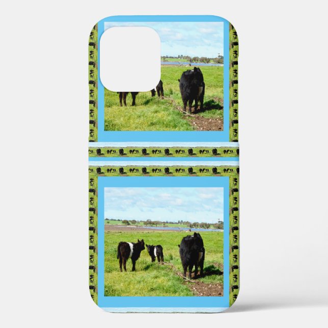 Mama- und Baby-Galloway-Kühe Case-Mate iPhone Hülle (Rückseite)