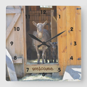 Mama und Baby Goat Begrüßungssäcke Quadratische Wanduhr