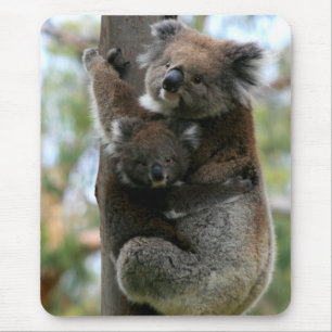 Mama und Baby Koala Mousepad