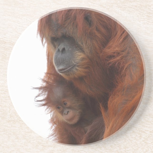 Mama und Baby Orangutan Getränkeuntersetzer (Vorne)