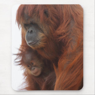 Mama und Baby Orangutan Mousepad