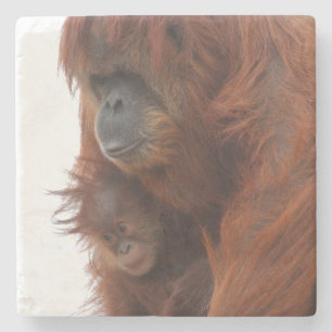 Mama und Baby Orangutan Steinuntersetzer
