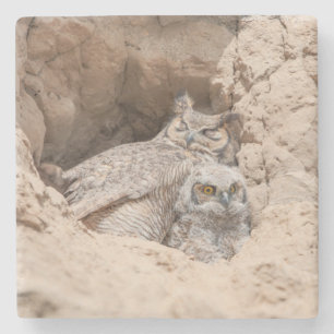 Mama und Baby Owl Stone Untersetzer