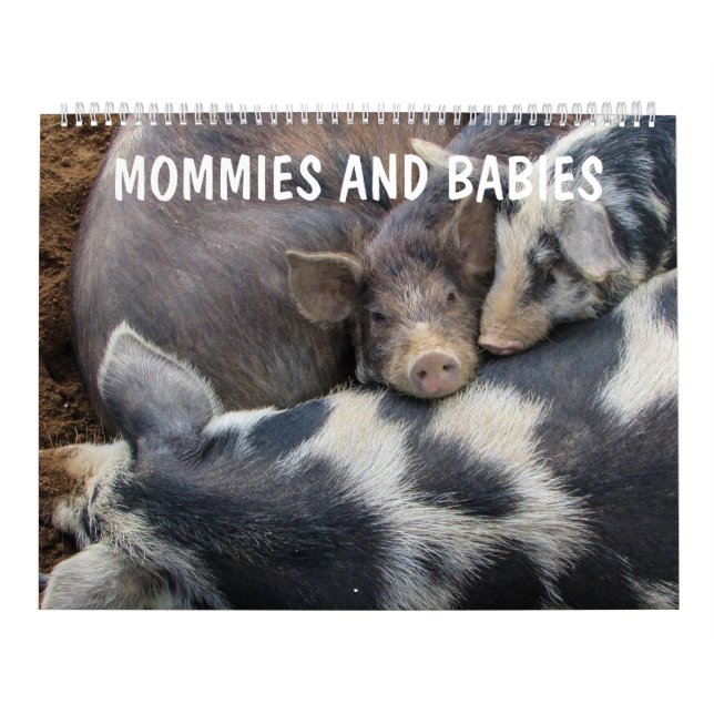 Mama- und Babykalender Kalender (Titelbild)