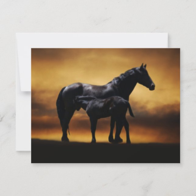 Mama und Babykälte (Vorderseite)