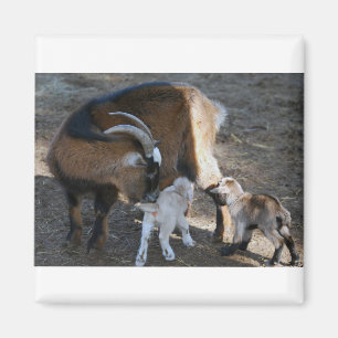 Mama und Babys Magnet