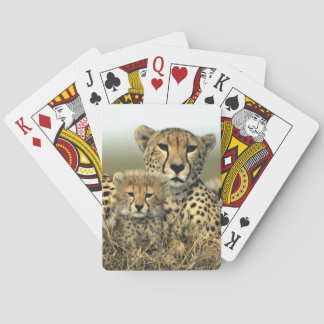Mama und Cube Spielkarten