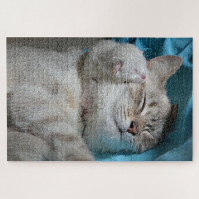 Mama und Kätzchen (Horizontal)