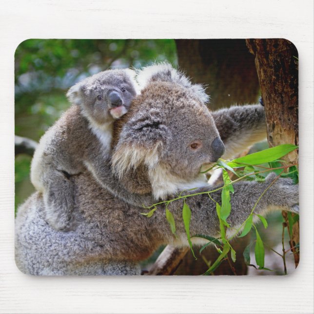 Mama-und Sohn Koala Mousepad (Vorne)