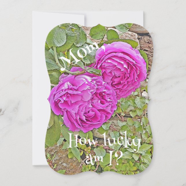 Mama, Wie glücklich bin ich?/Rose/Muttertag (Vorderseite)
