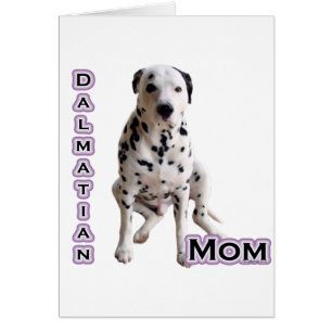 Maman dalmate 4