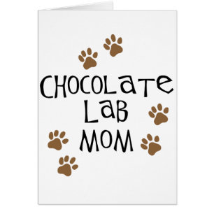 Maman de laboratoire de chocolat