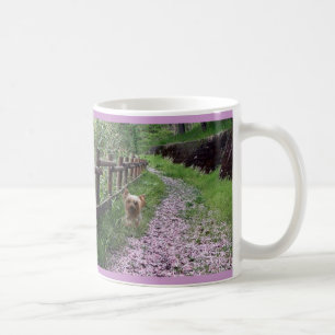 Maman de tasse de Yorkshire Terrier