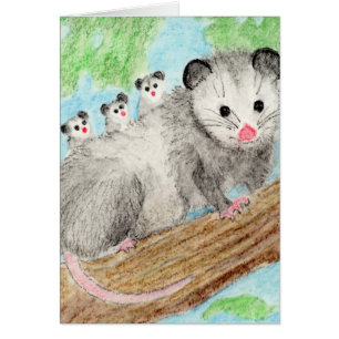 Maman d'Opossum
