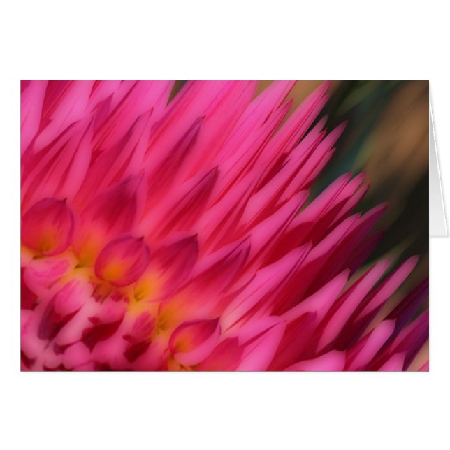 Maman rose (Devant horizontal)