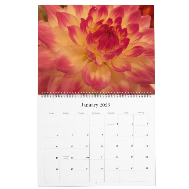 Mamas u. Dahlien 2012 Kalender (Jan 2026)
