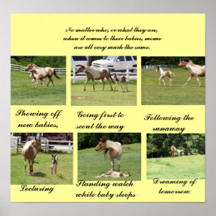 Mamas und Babys Poster