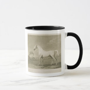 Mambrino, nach George Stubbs, 1788 (Mezzotint) Tasse